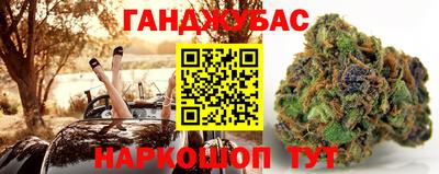 гидра Лесосибирск