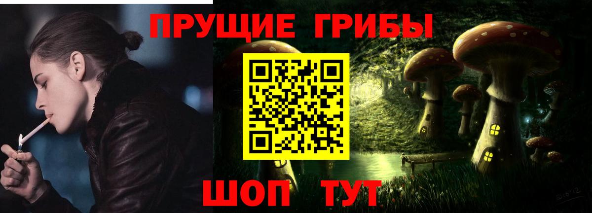 закладки  Кемерово  Галлюциногенные грибы мицелий 