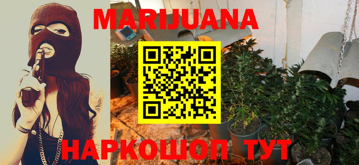 Конопля сатива  Кемерово  Марихуана White Widow  Канабис MAZAR 